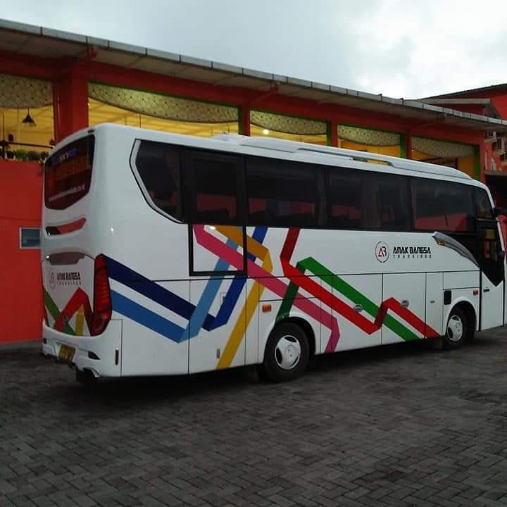 Executive Medium Bus